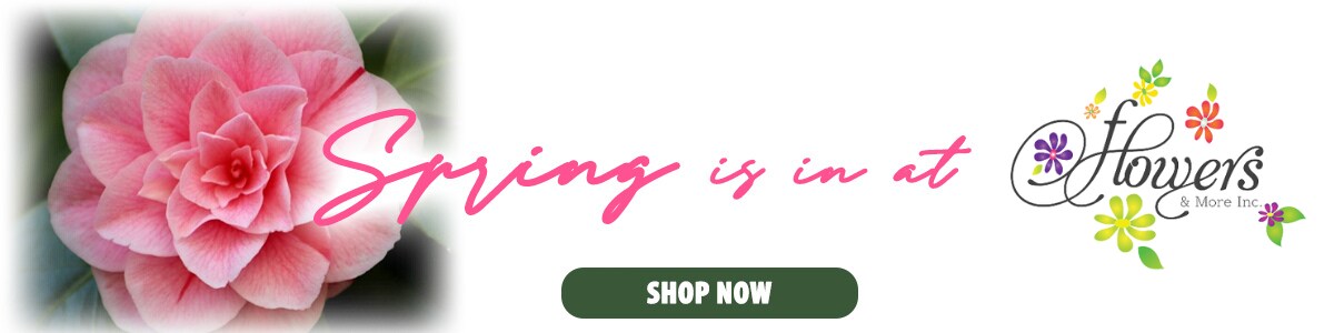 shop spring flowers